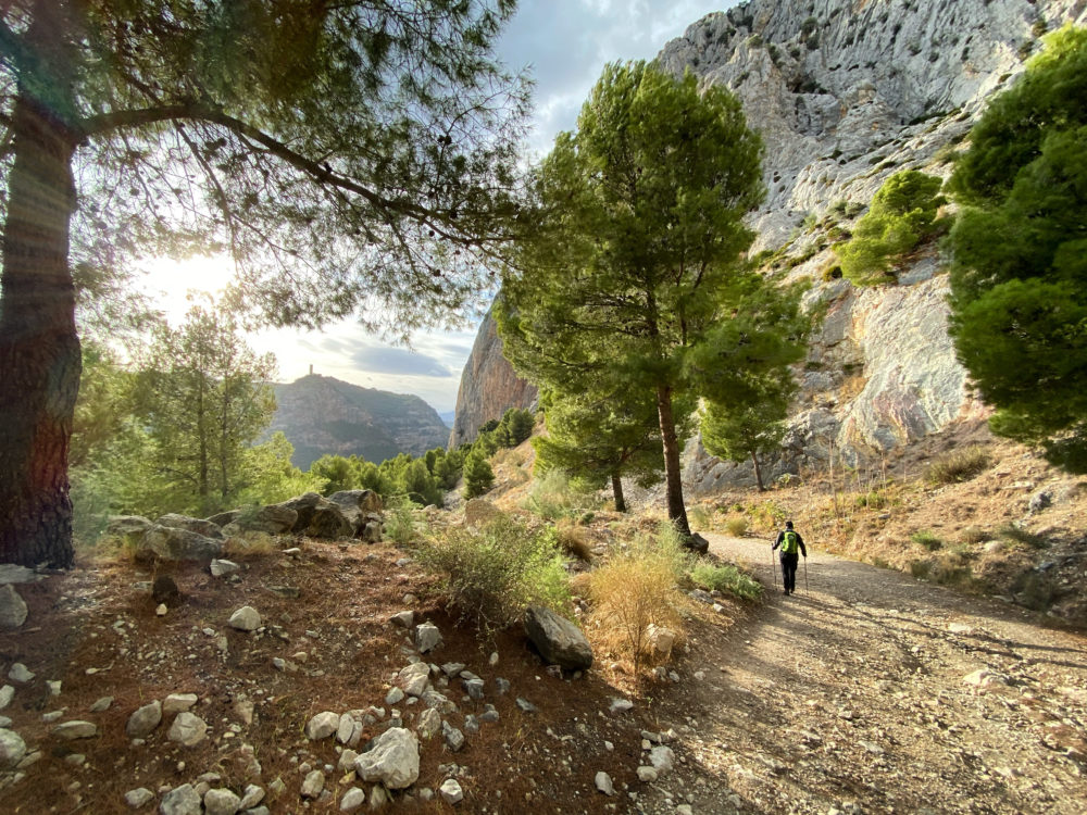 Andalusië 2019